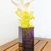 The Violet 4 - Rooting Vessel